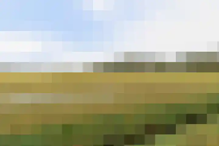 Goren 4 Schoonebeek thumbnail 43