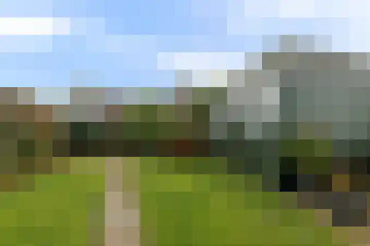 Goren 4 Schoonebeek thumbnail 8