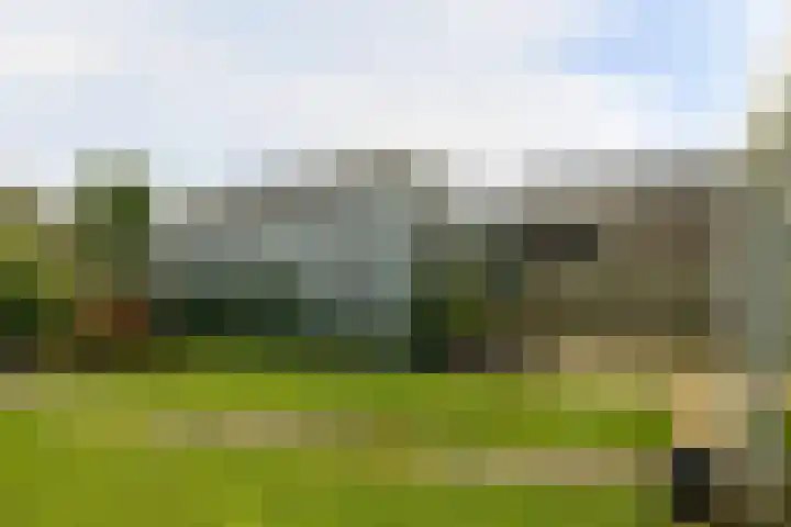 Goren 4 Schoonebeek thumbnail 9