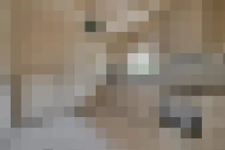 Gorizialaan 13 Venlo thumbnail 14
