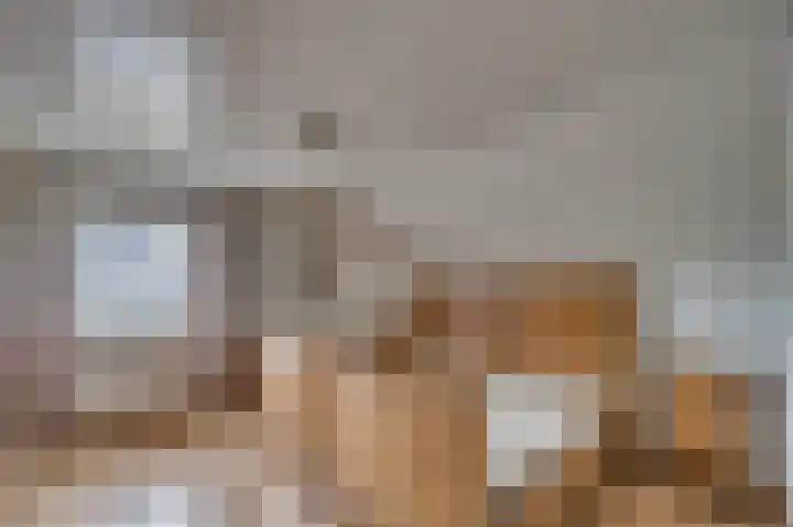 Gorizialaan 13 Venlo thumbnail 21