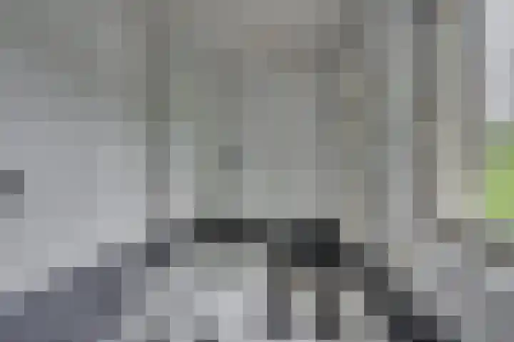 Gorizialaan 13 Venlo thumbnail 27