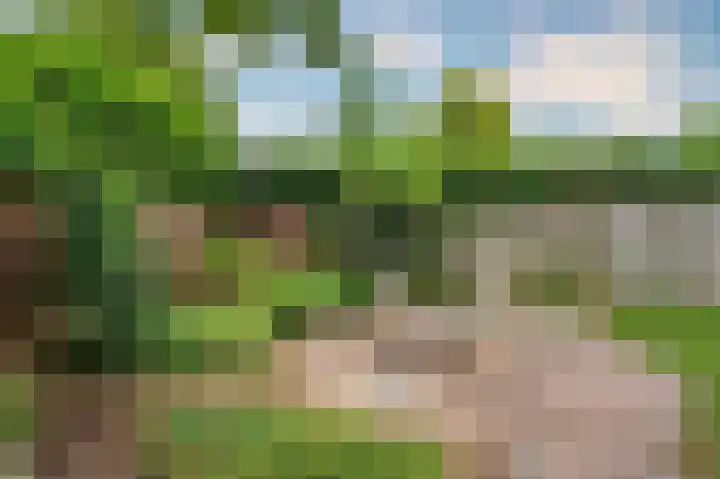Gorizialaan 13 Venlo thumbnail 39