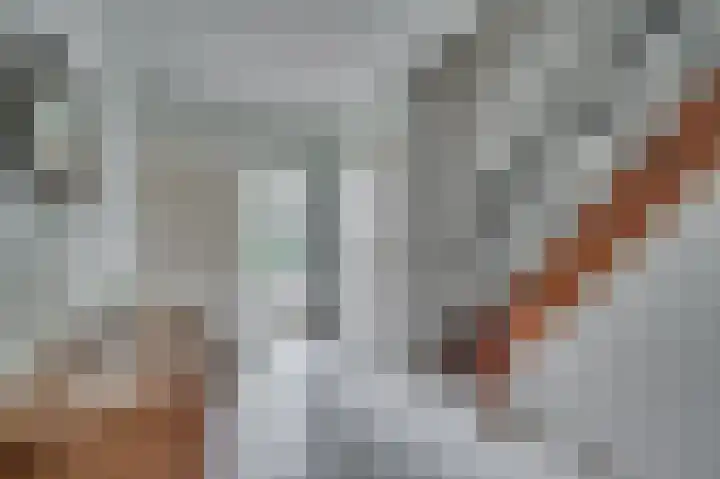 Gorizialaan 13 Venlo thumbnail 4