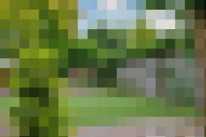 Gorizialaan 13 Venlo thumbnail 47