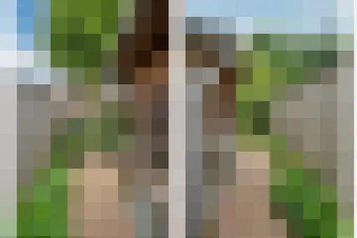Gorizialaan 13 Venlo thumbnail 48
