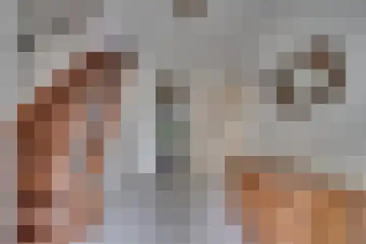 Gorizialaan 13 Venlo thumbnail 5