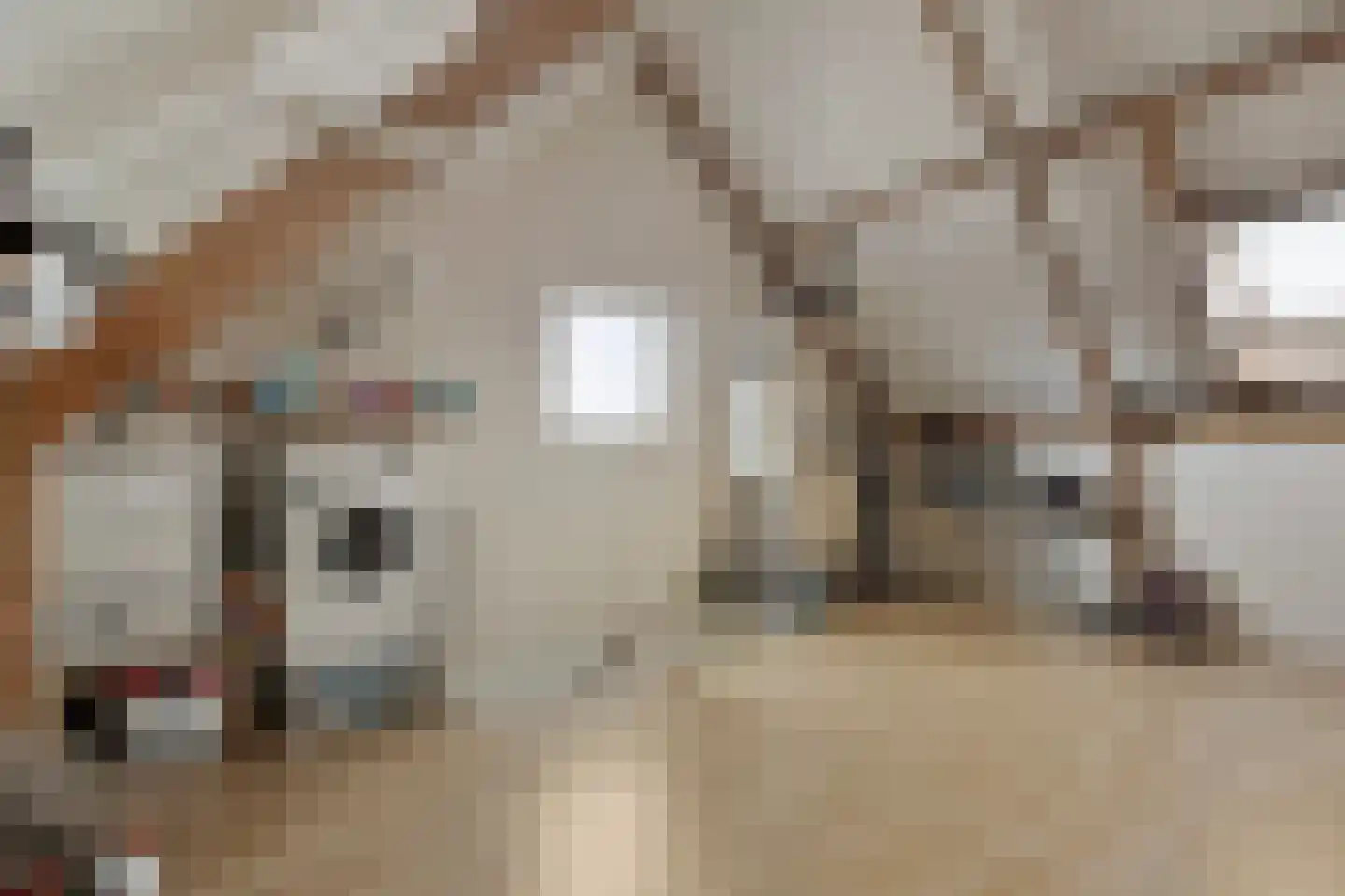 Gorlooplaan 8 Waalre thumbnail 22