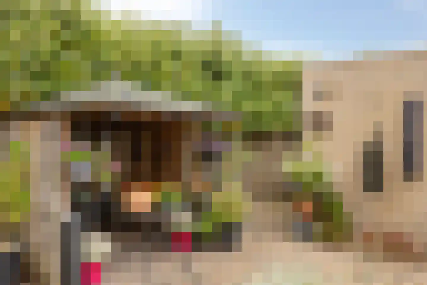 Gorlooplaan 8 Waalre thumbnail 24