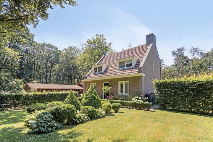 Gorp aan de Ley 2 in Hilvarenbeek foto