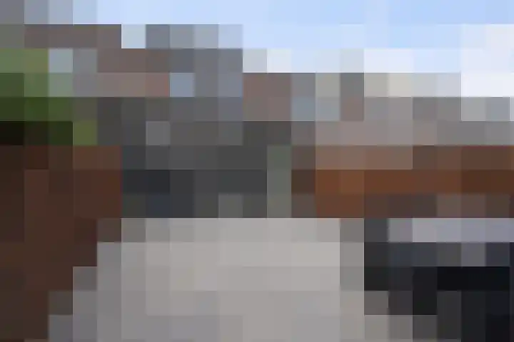 Gors 25 Pijnacker thumbnail 13