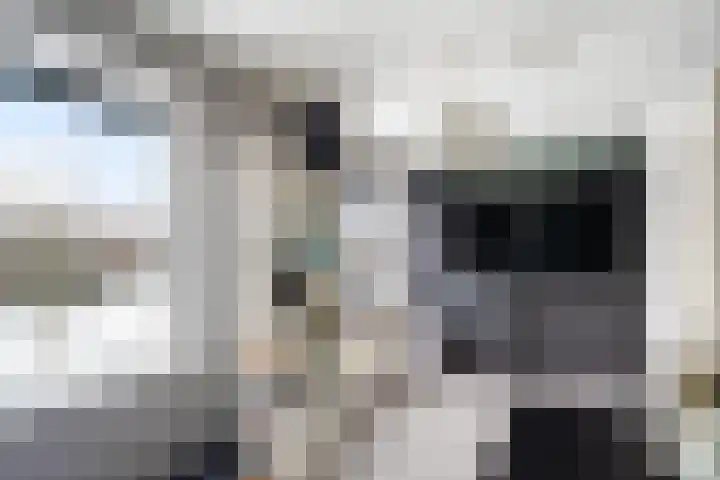 Gors 25 Pijnacker thumbnail 17