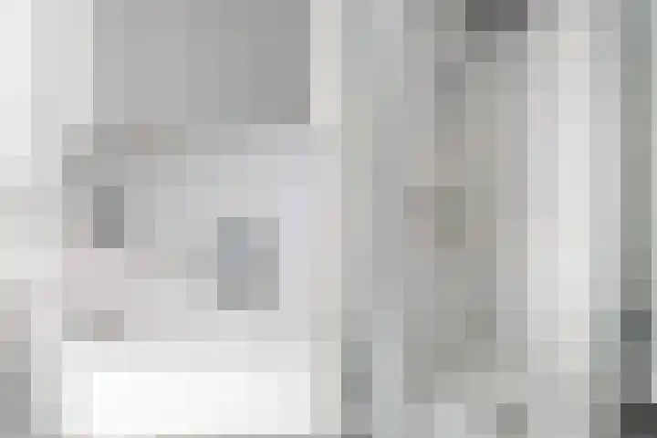 Gors 25 Pijnacker thumbnail 18