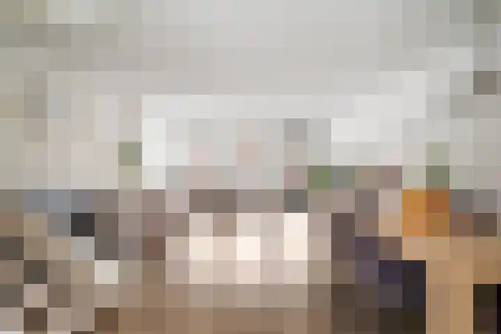 Gors 25 Pijnacker foto 2