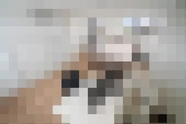 Gors 25 Pijnacker thumbnail 20