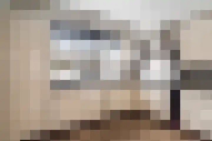 Gors 25 Pijnacker foto 3