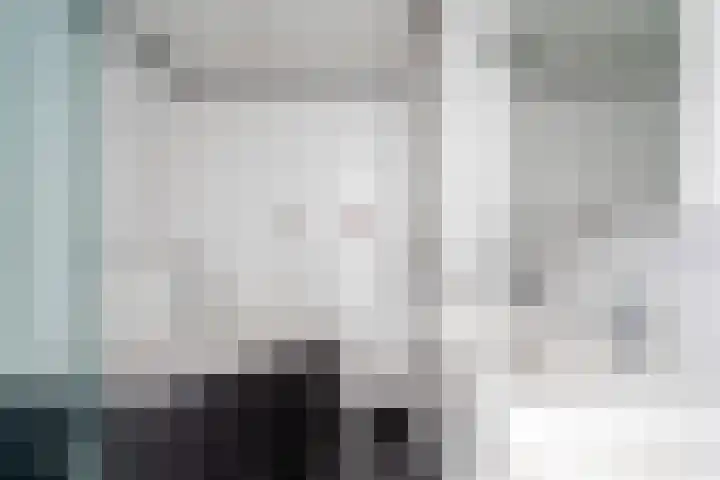 Gors 25 Pijnacker thumbnail 4