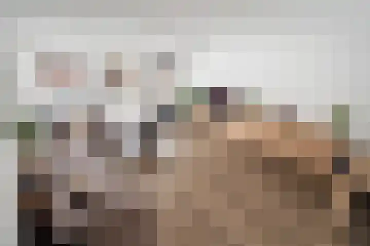 Gors 25 Pijnacker thumbnail 6