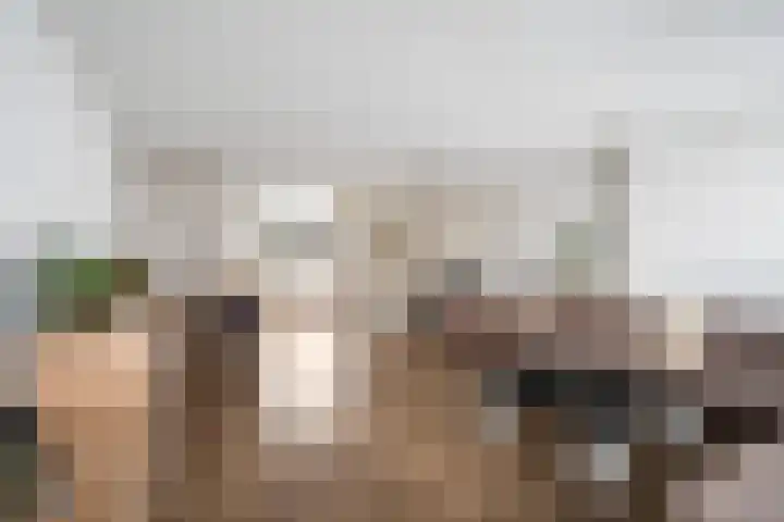 Gors 25 Pijnacker thumbnail 8