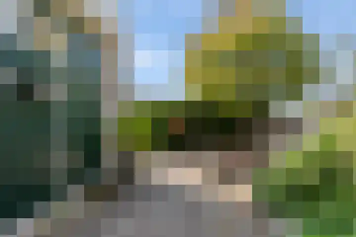 Gors 45 Lelystad thumbnail 4