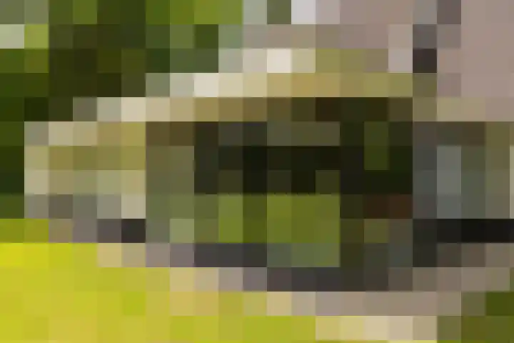 Gortelseweg 79 Vierhouten thumbnail 12
