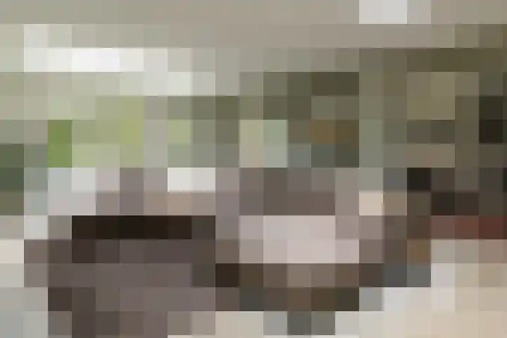 Gortelseweg 79 Vierhouten thumbnail 15