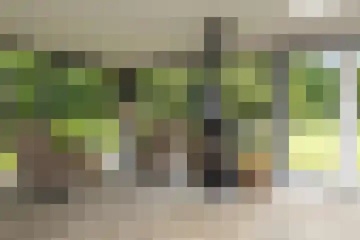 Gortelseweg 79 Vierhouten thumbnail 17
