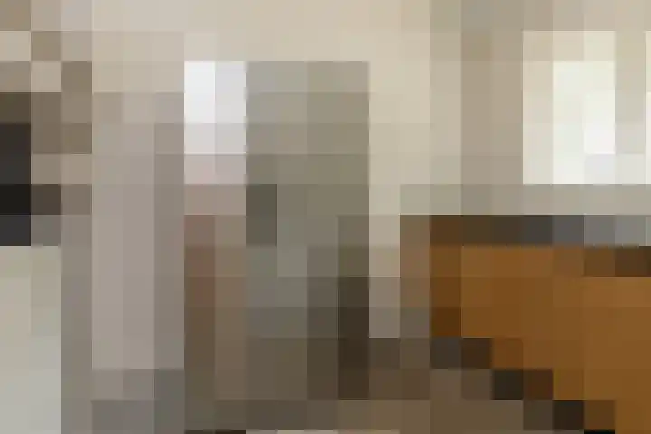 Gortelseweg 79 Vierhouten thumbnail 27