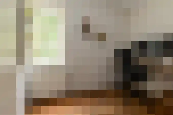Gortelseweg 79 Vierhouten thumbnail 28