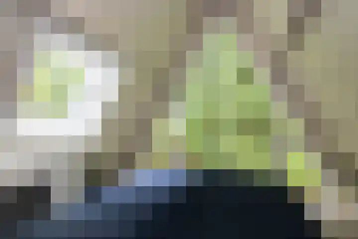 Gortelseweg 79 Vierhouten thumbnail 34