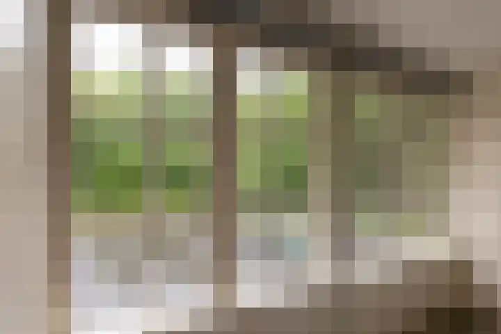 Gortelseweg 79 Vierhouten thumbnail 35