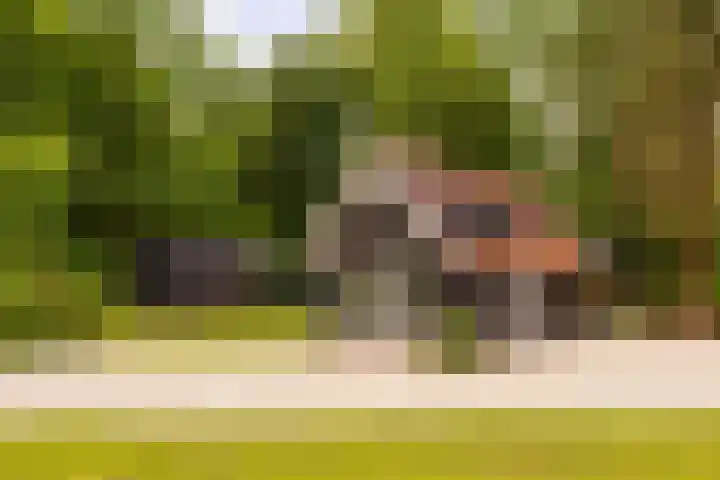 Gortelseweg 79 Vierhouten thumbnail 42
