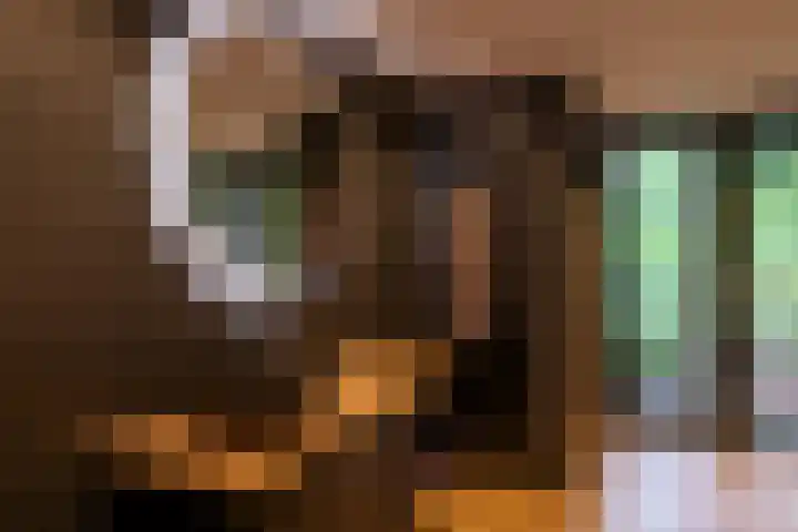 Gortelseweg 79 Vierhouten thumbnail 44