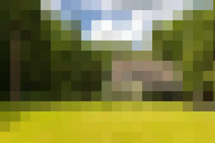 Gortelseweg 79 Vierhouten thumbnail 5