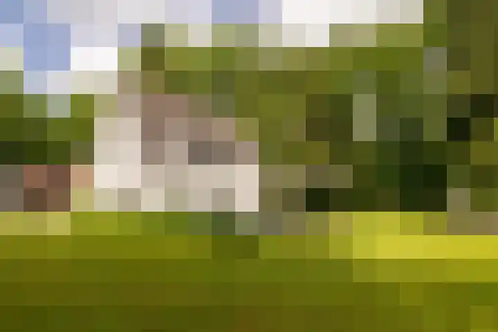 Gortelseweg 79 Vierhouten thumbnail 50