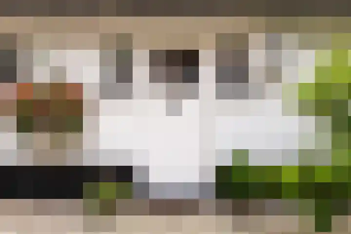 Gortelseweg 79 Vierhouten thumbnail 51