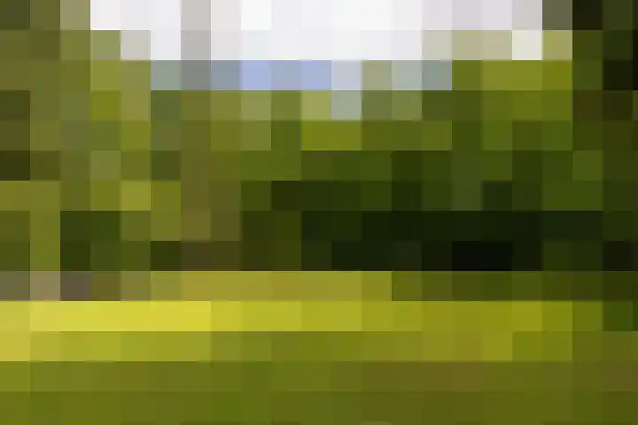 Gortelseweg 79 Vierhouten thumbnail 52