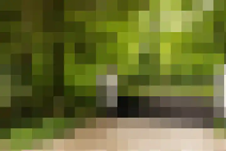 Gortelseweg 79 Vierhouten thumbnail 53