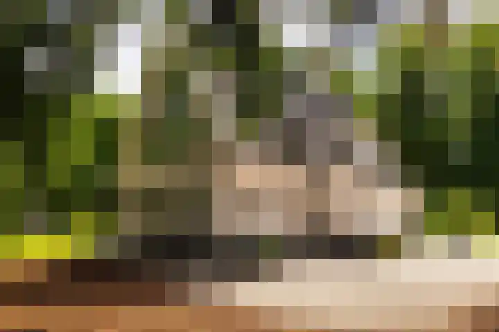 Gortelseweg 79 Vierhouten thumbnail 6
