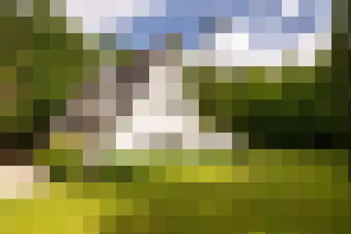 Gortelseweg 79 Vierhouten thumbnail 7