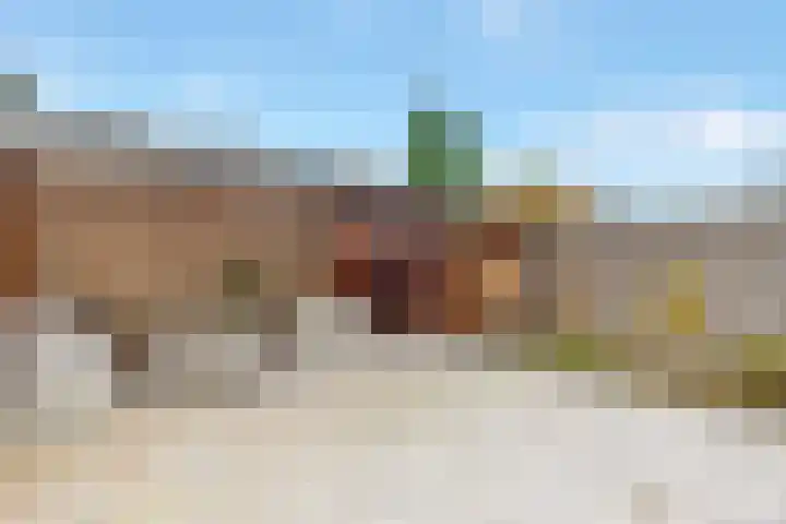 Foto von Gosse van Houtum