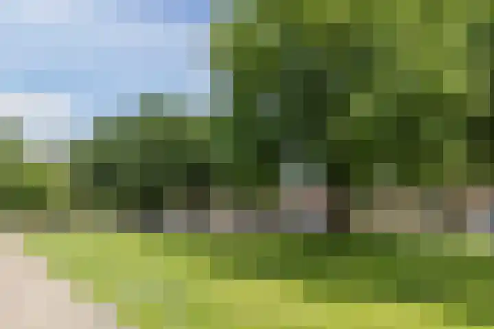 Gotenpark 19 Tilburg thumbnail 21