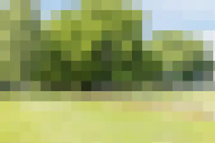 Gotenpark 19 Tilburg thumbnail 22