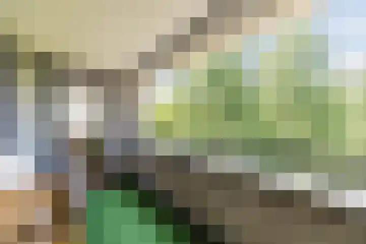 Gotenpark 19 Tilburg thumbnail 8