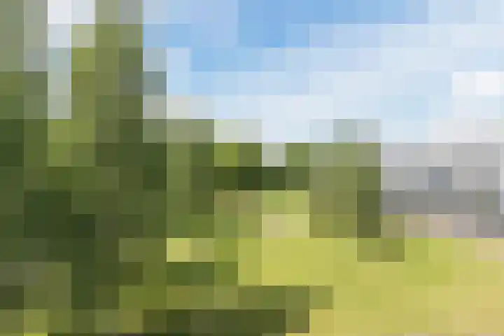 Gotenpark 19 Tilburg thumbnail 9