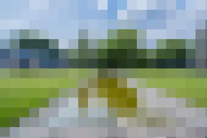 Gotenpark 31 Tilburg thumbnail 25