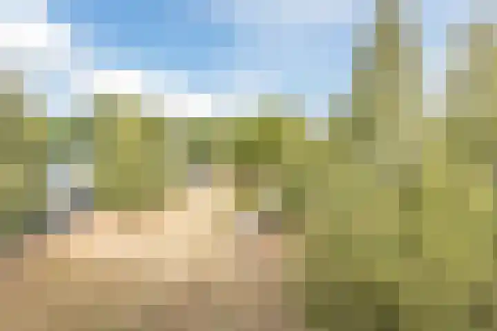 Gotenpark 39 Tilburg thumbnail 37