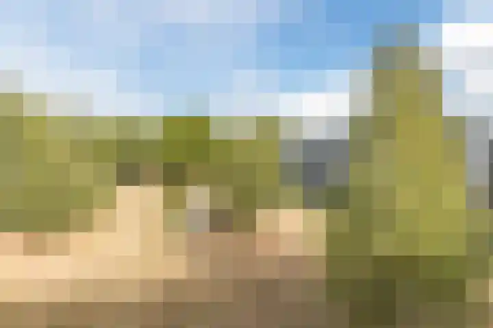 Gotenpark 39 Tilburg thumbnail 38