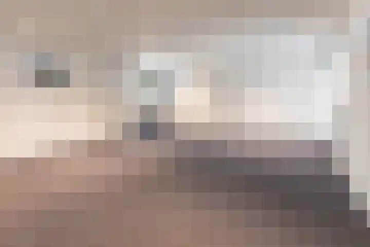 Gotenpark 39 Tilburg thumbnail 4