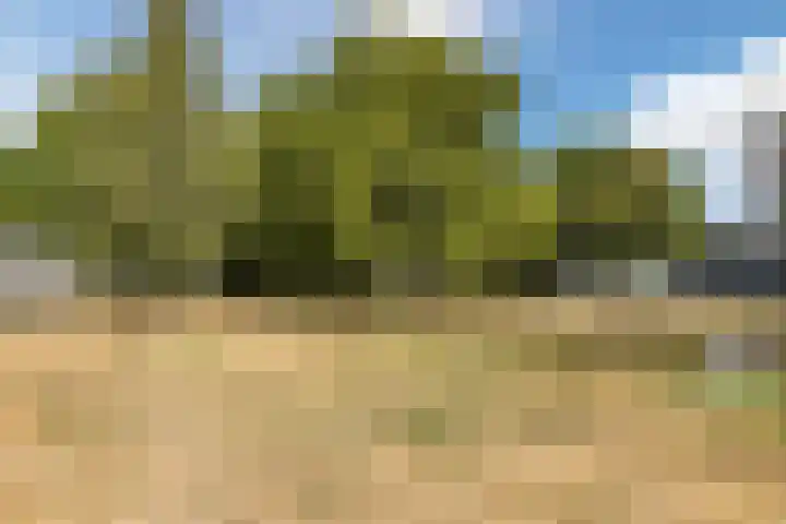 Gotenpark 39 Tilburg thumbnail 43